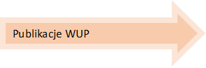 Dział 1 Publikacje WUP w Warszawie